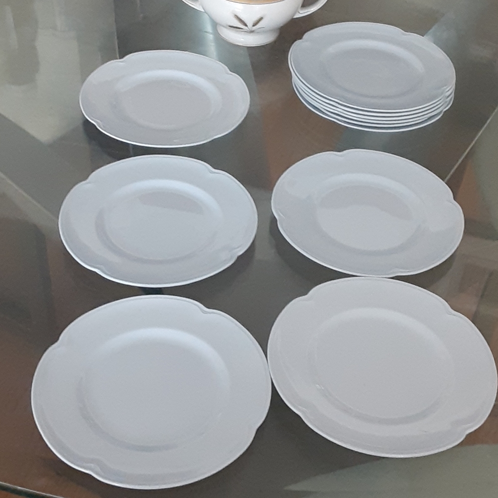 12 Johnson brothers plates